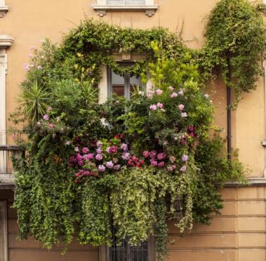 Zielony balkon, Milan, Włochy