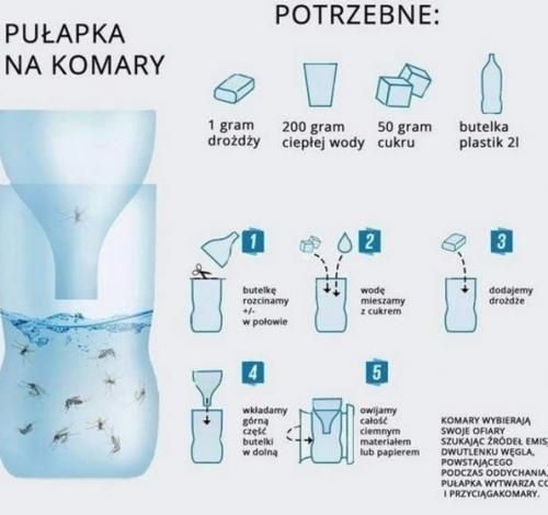 Pułapka na komary