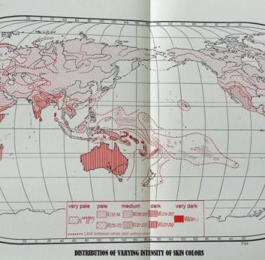 Mapa rasowa świata (kolor skóry rdzennych populacji) opracowana w 1941 roku