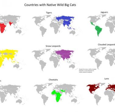Kraje z rodzimymi dzikimi dużymi kotami