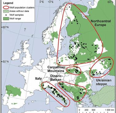 Występowanie wilków w Europie