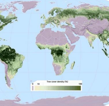 Pokrycie drzew na świecie