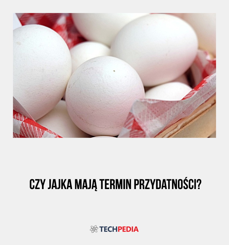 Czy jajka mają termin przydatności?