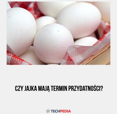 Czy jajka mają termin przydatności?