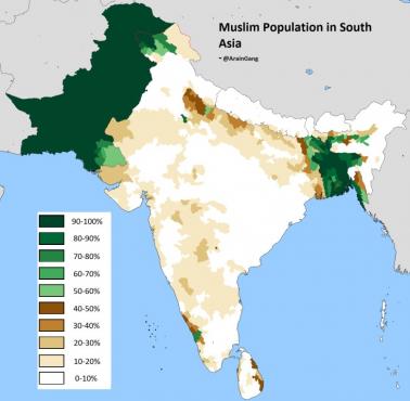 Ludność muzułmańska w Azji Południowej