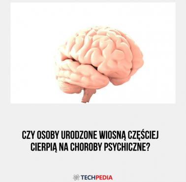 Czy osoby urodzone wiosną częściej cierpią na choroby psychiczne?