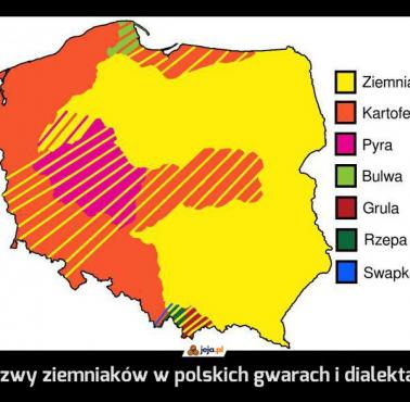 Nazwy ziemniaków w różnych gwarach i dialektach