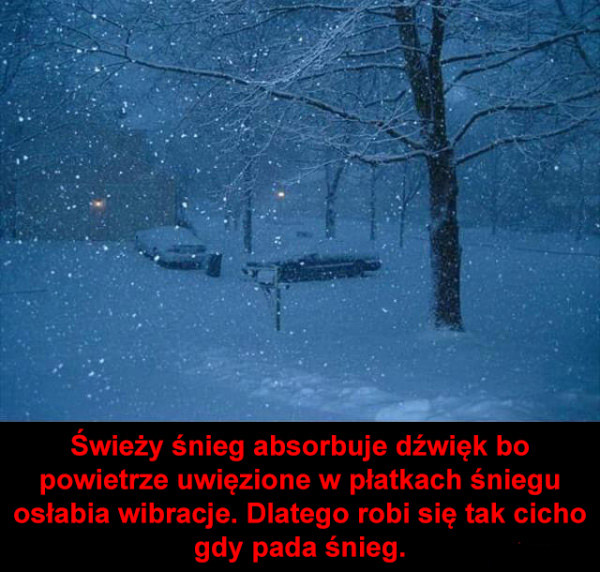 Dlaczego kiedy pada śnieg jest cicho?
