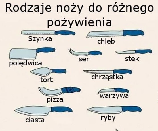 Rodzaje noży do różnego rodzaju pożywienia