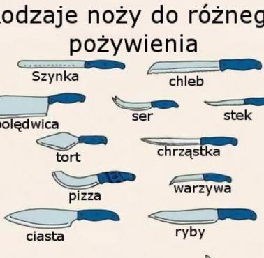 Rodzaje noży do różnego rodzaju pożywienia