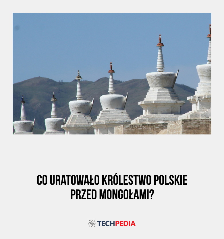 Co uratowało Królestwo Polskie przed Mongołami?