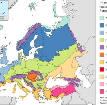 Regiony biogeograficzne Europy