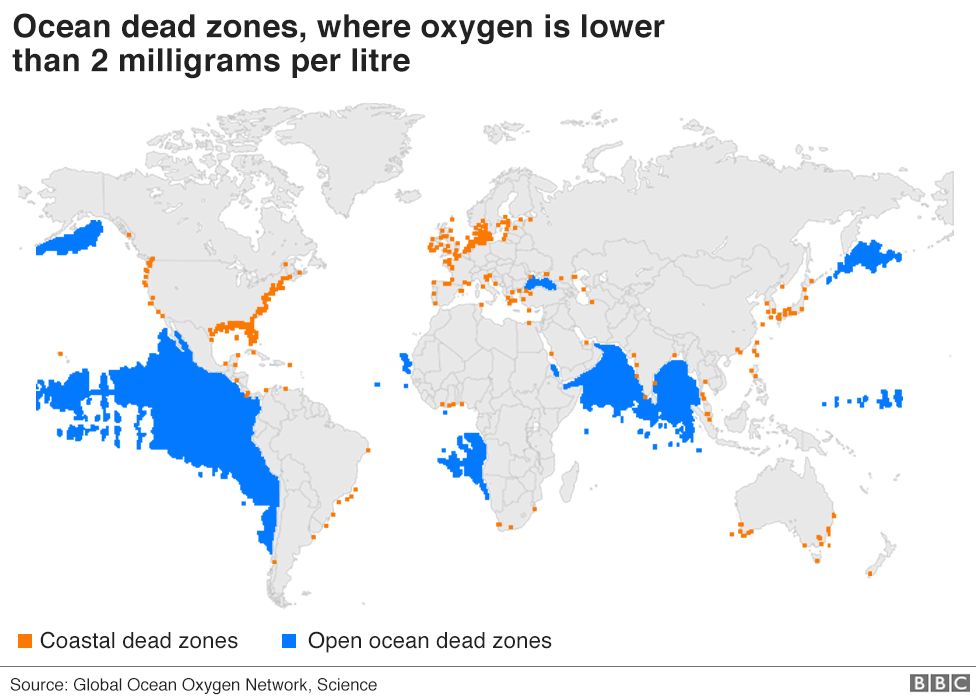 Oceaniczny ubytek tlenu (martwe strefy)