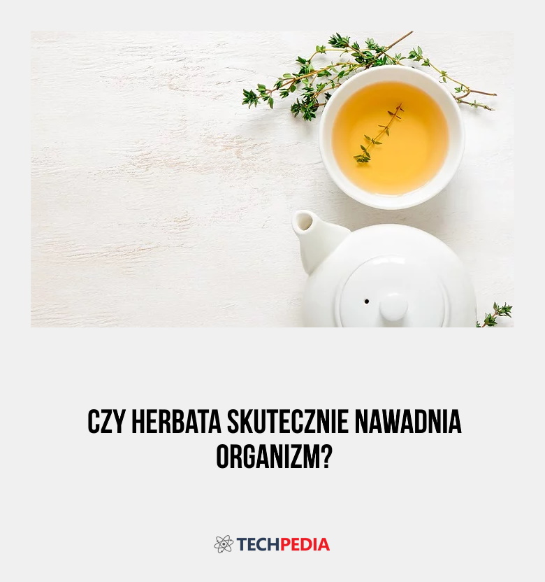 Czy herbata skutecznie nawadnia organizm?