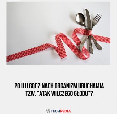 Po ilu godzinach organizm uruchamia tzw. "atak wilczego głodu"?