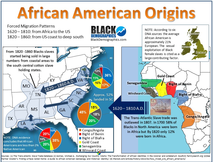 Pochodzenie czarnoskórych (afroamerykanów) w USA