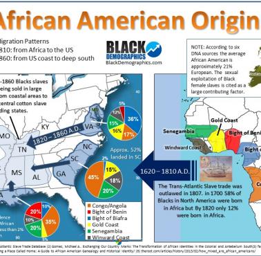 Pochodzenie czarnoskórych (afroamerykanów) w USA