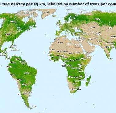 Pokrycie drzew na świecie