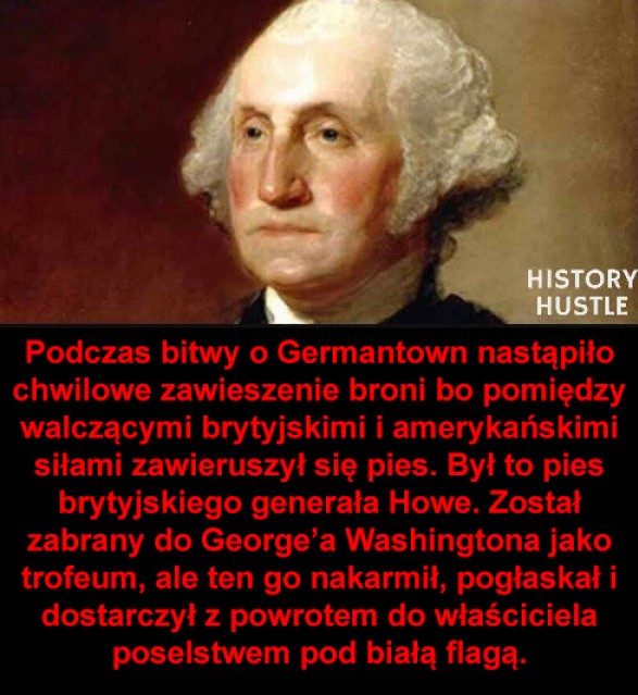 Pies wagi państwowej ...
