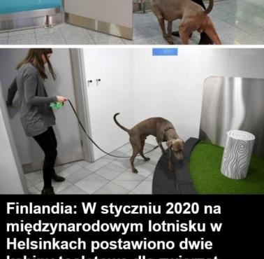 Pierwsze WC dla zwierząt na lotnisku