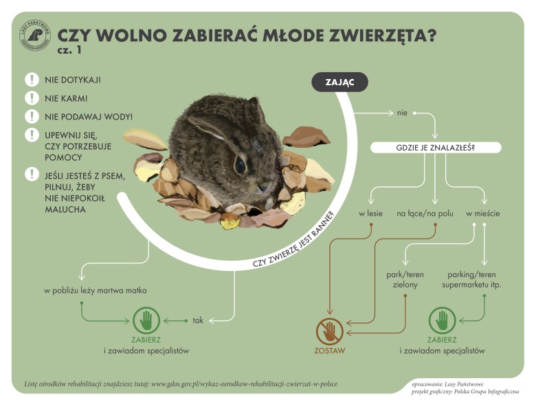 Kiedy można zabierać młode zwierzęta? cz.1
