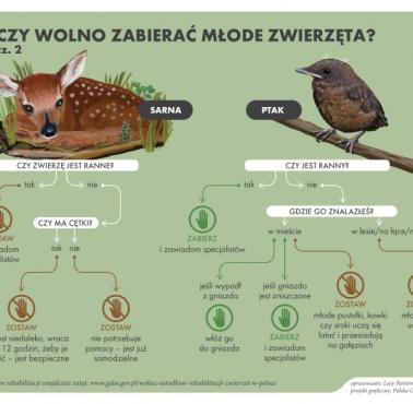 Kiedy można zabierać młode zwierzęta? cz.2