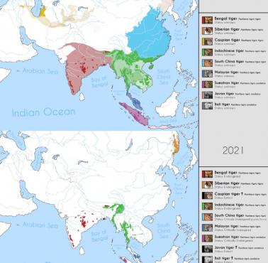 Zasięg występowania tygrysów w 1921 i 2021 roku