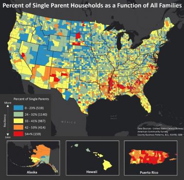 Gospodarstwa domowe z jednym rodzicem w USA