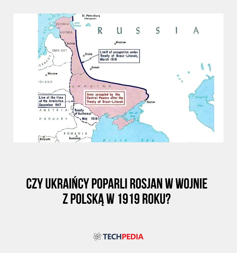 Czy Ukraińcy poparli Rosjan w wojnie z Polską w 1919 roku?