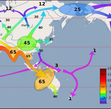 Rozprzestrzenianie się gatunku homo sapiens (migracje)