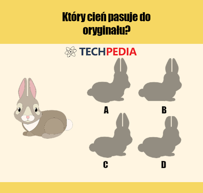 Który cień pasuje do oryginału?