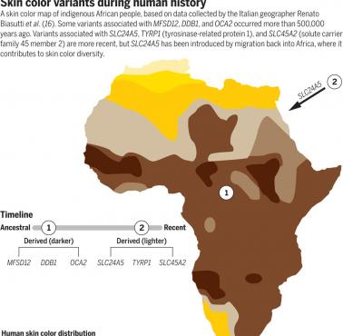 Warianty koloru skóry w rdzennych populacjach afrykańskich