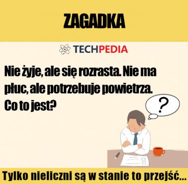 Zagadka