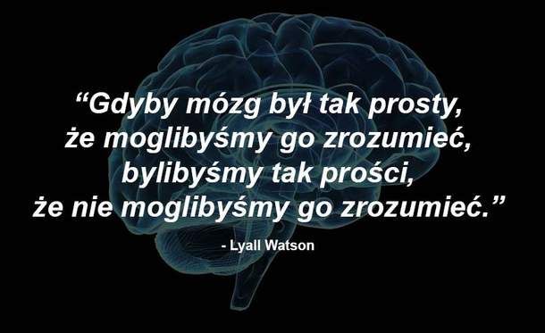 Mózg