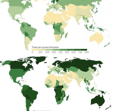 Drzewa na kilometr kwadratowy na świecie i na osobę