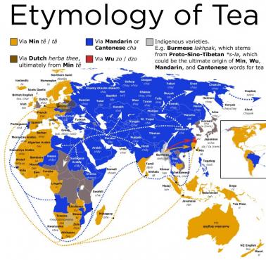 Jak rozprzestrzeniało się na świecie słowo "herbata"