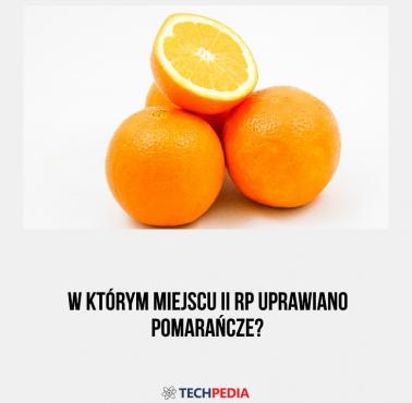 W którym miejscu II RP uprawiano pomarańcze?