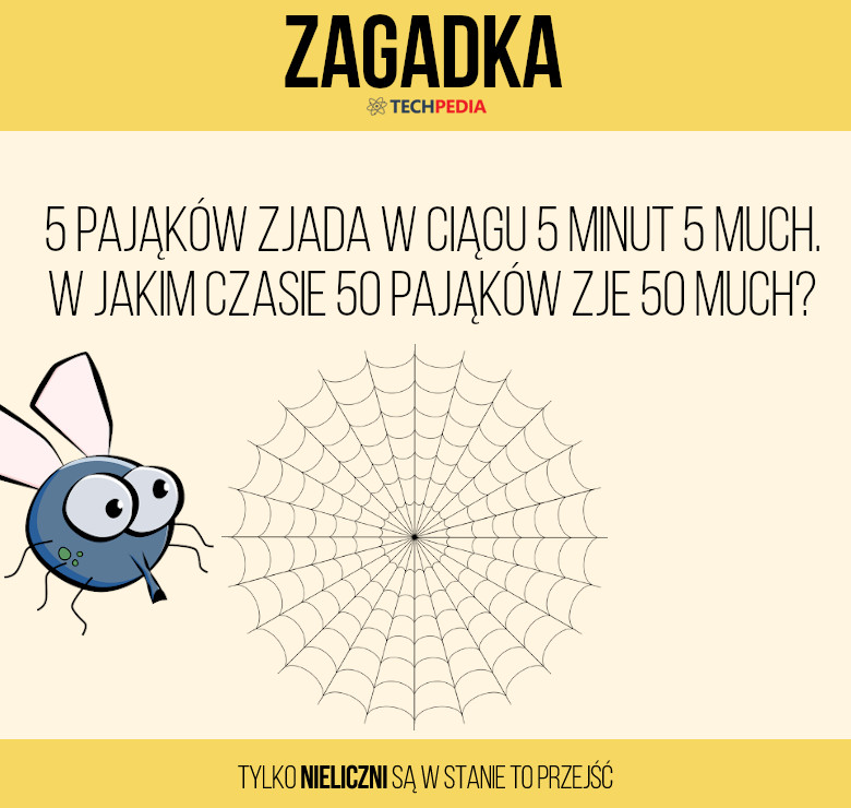 Zagadka