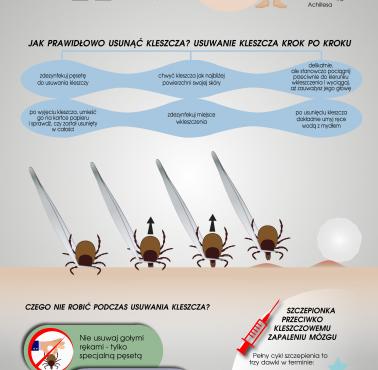 Uwaga! kleszcze - infografika