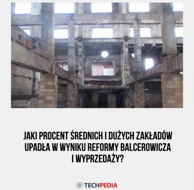 Jaki procent średnich i dużych zakładów upadła w wyniku reformy Balcerowicza i wyprzedaży?