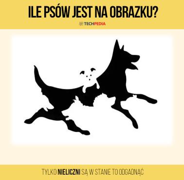 Ile psów jest na obrazku?