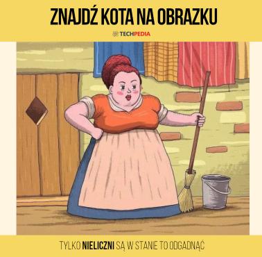 Znajdź kota na obrazku