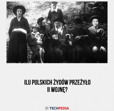 Ilu polskich Żydów przeżyło II wojnę?