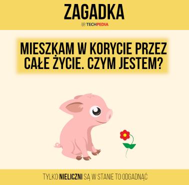 Zagadka