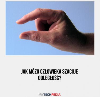 Jak mózg człowieka szacuje odległość?