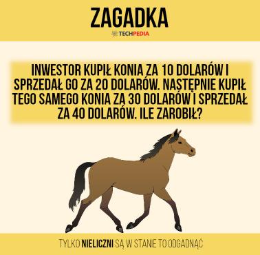 Zagadka