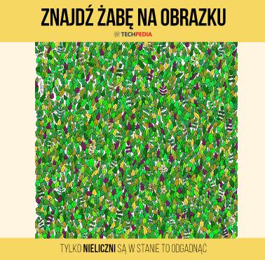 Znajdź żabę na obrazku