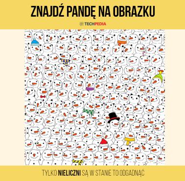 Znajdź pandę na obrazku