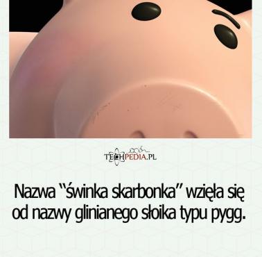 Nazwa “świnka skarbonka” wzięła się od ...