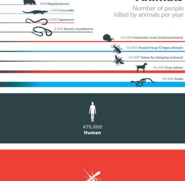 Najbardziej zabójcze zwierzęta.